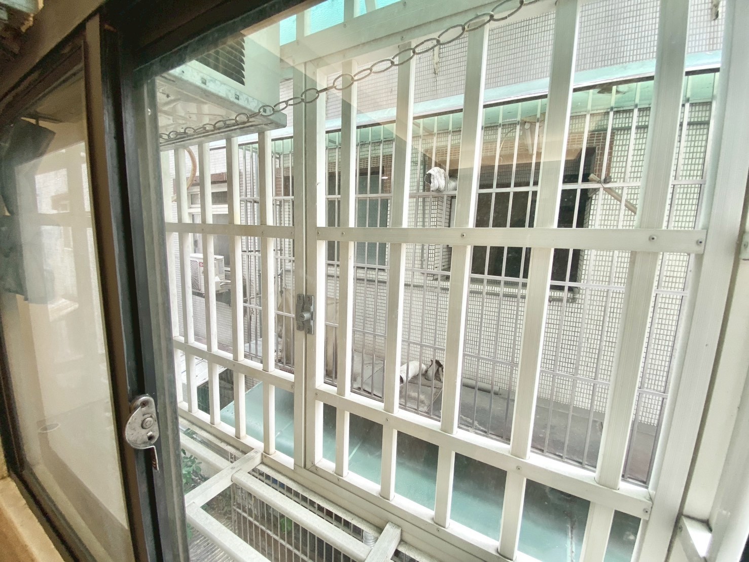 🏡 北區獨立套房｜租屋補助、可養貓、近一中商圈 - 照片 5